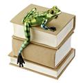 Design Toscano Jungle Forest Tree Frog Shelf Sitter QL3241265